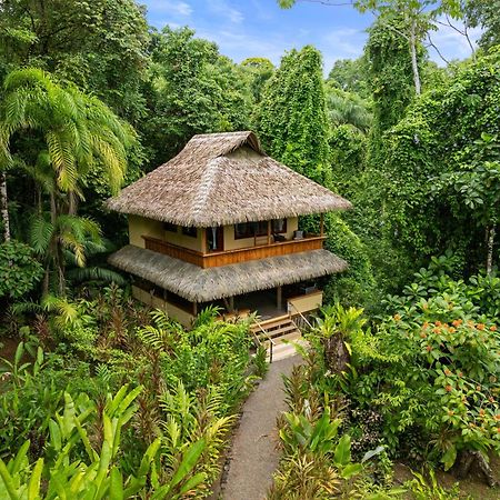 Copa De Arbol Beach&Rainforest Resort Drakes Bay Exterior foto