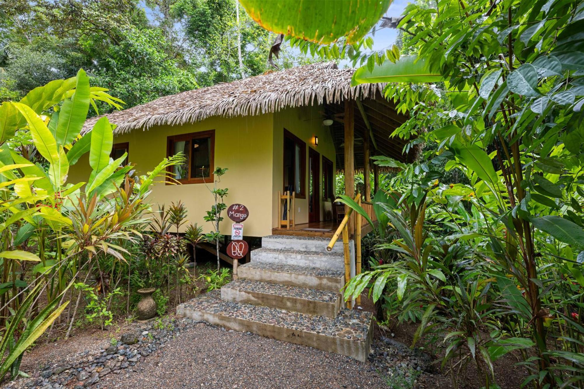 Copa De Arbol Beach&Rainforest Resort Drakes Bay Exterior foto