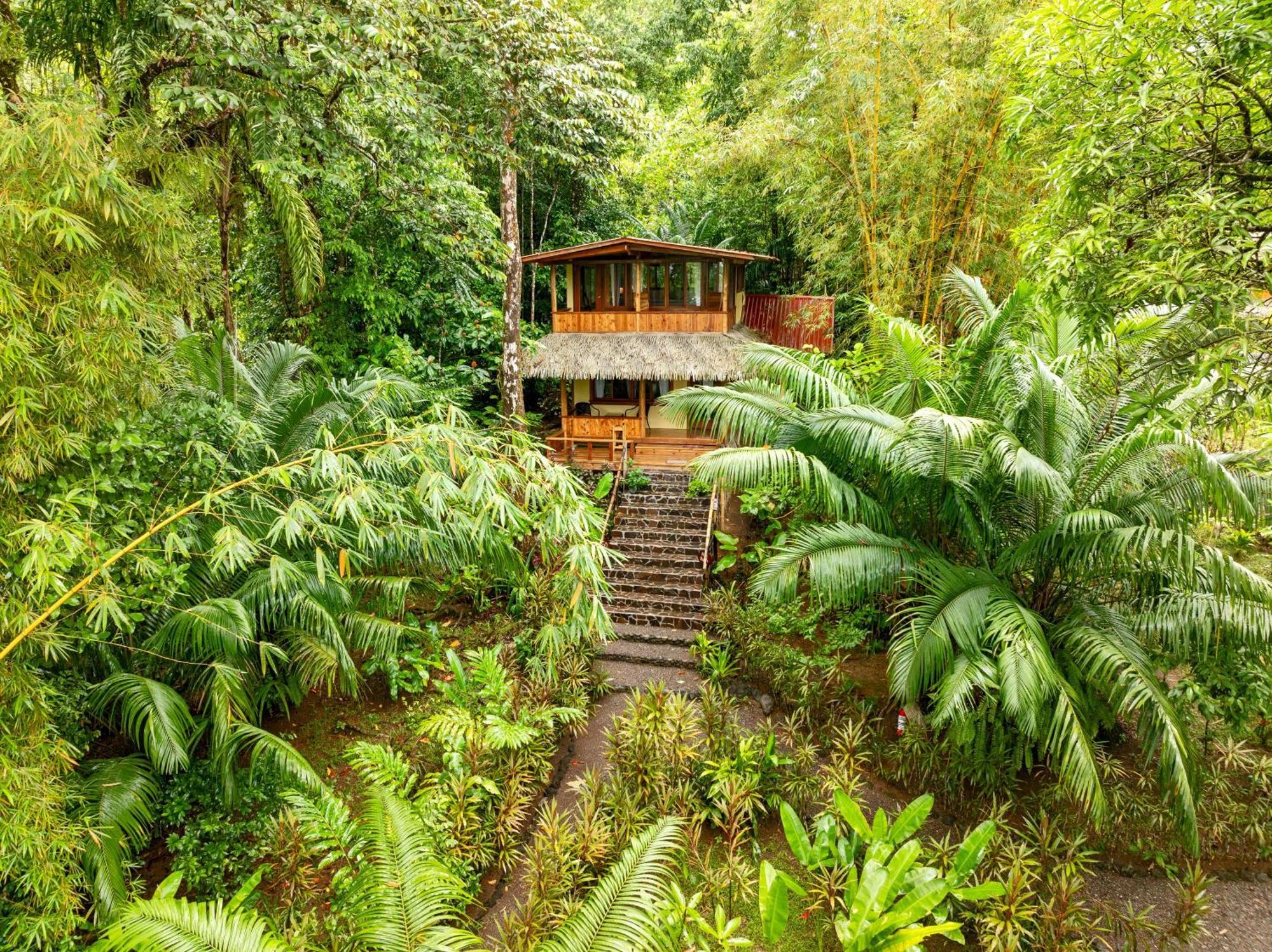 Copa De Arbol Beach&Rainforest Resort Drakes Bay Exterior foto