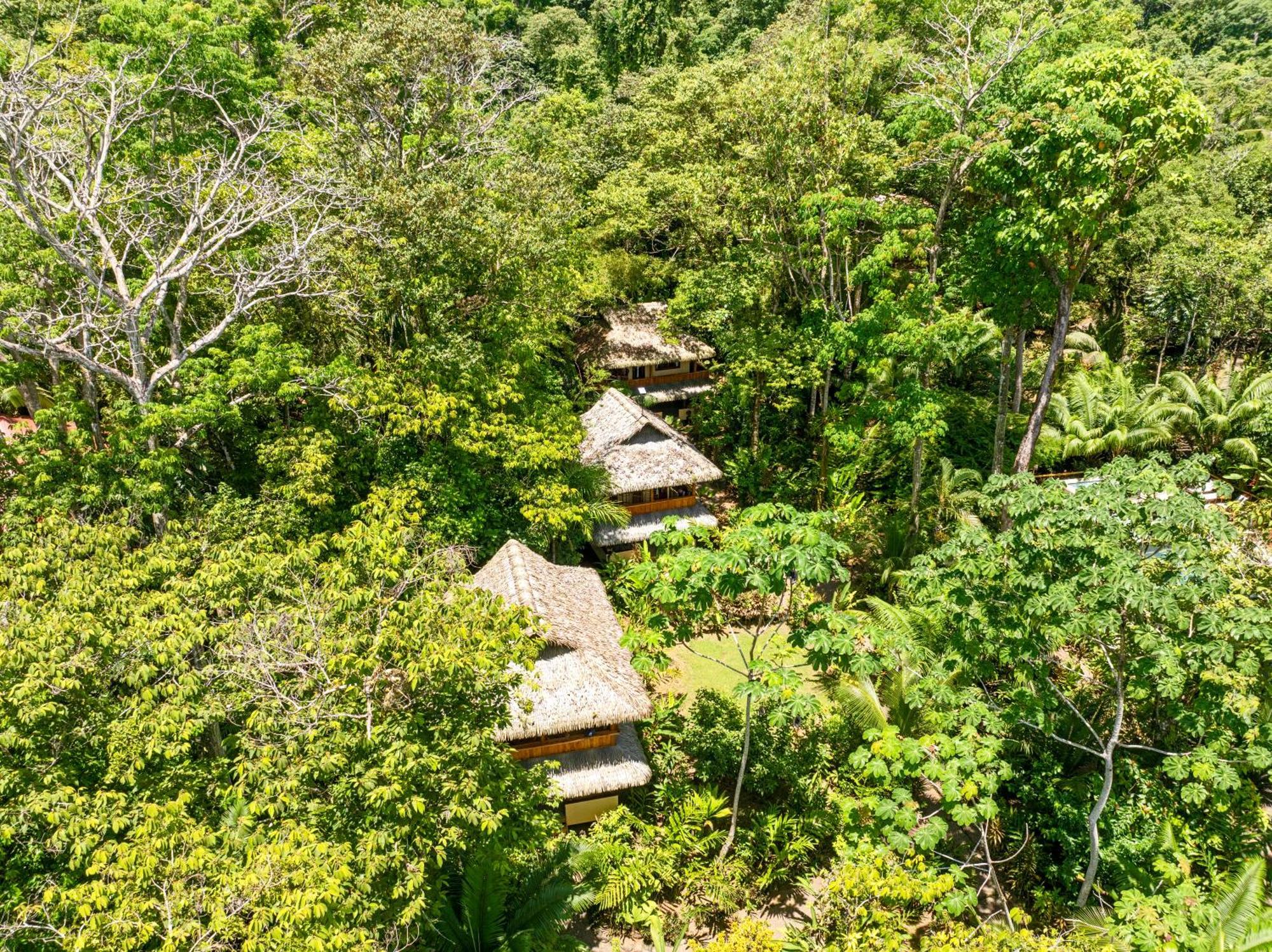 Copa De Arbol Beach&Rainforest Resort Drakes Bay Exterior foto