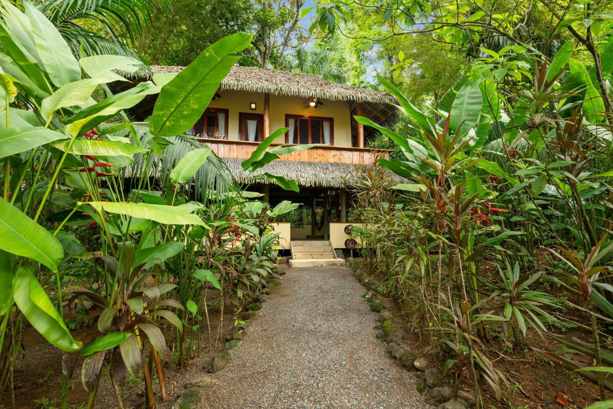 Copa De Arbol Beach&Rainforest Resort Drakes Bay Habitación foto