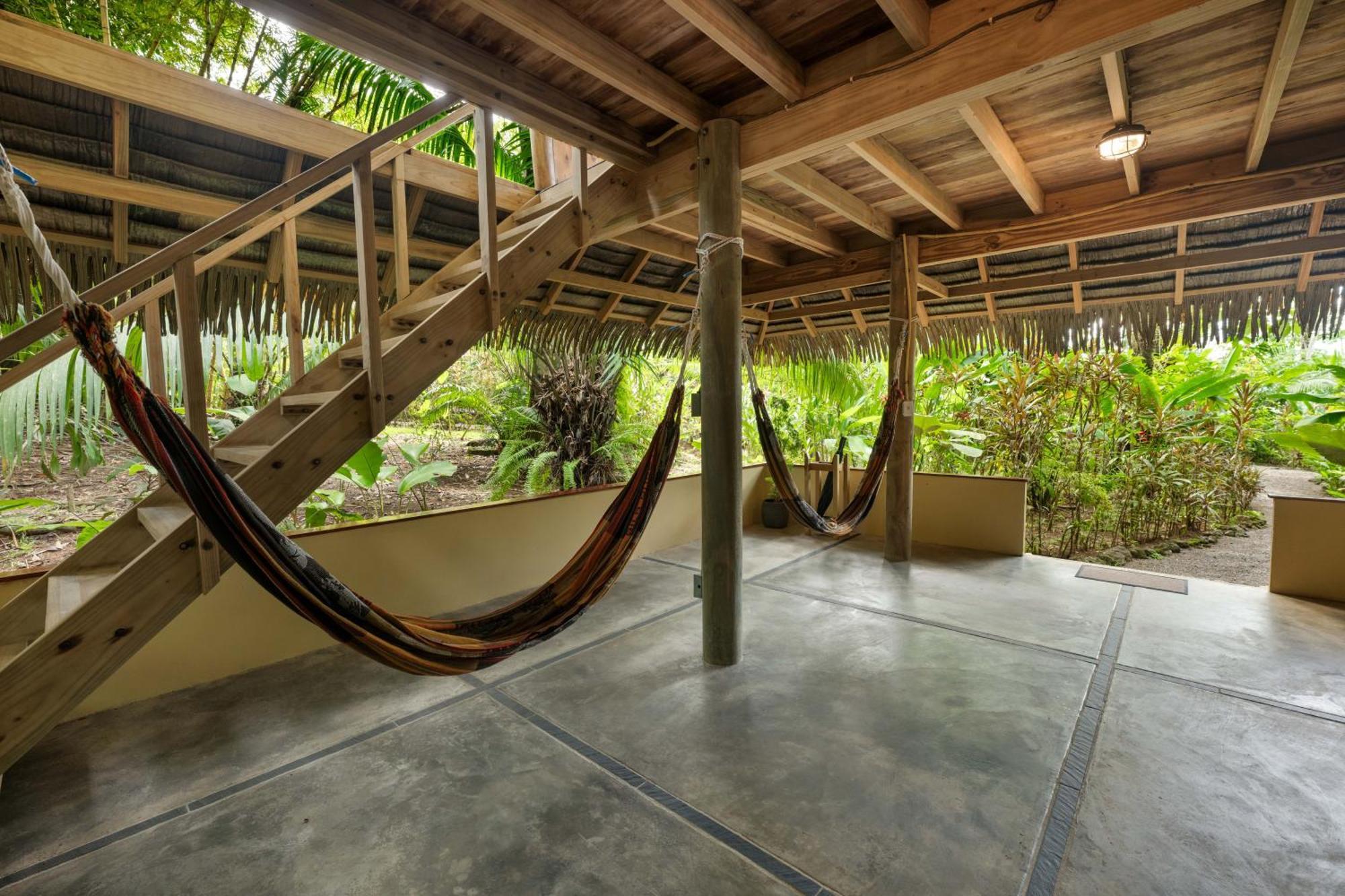 Copa De Arbol Beach&Rainforest Resort Drakes Bay Exterior foto