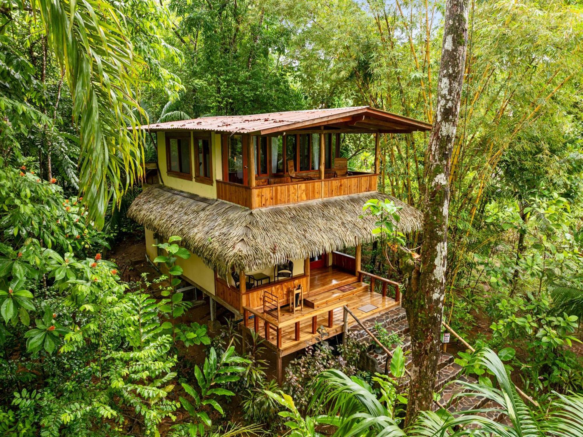 Copa De Arbol Beach&Rainforest Resort Drakes Bay Exterior foto