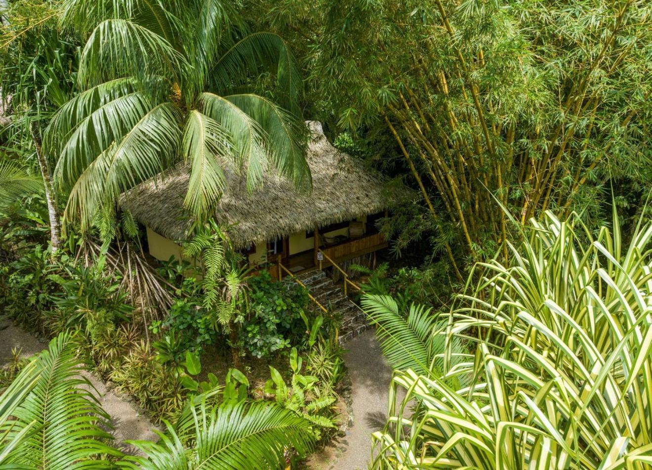 Copa De Arbol Beach&Rainforest Resort Drakes Bay Habitación foto