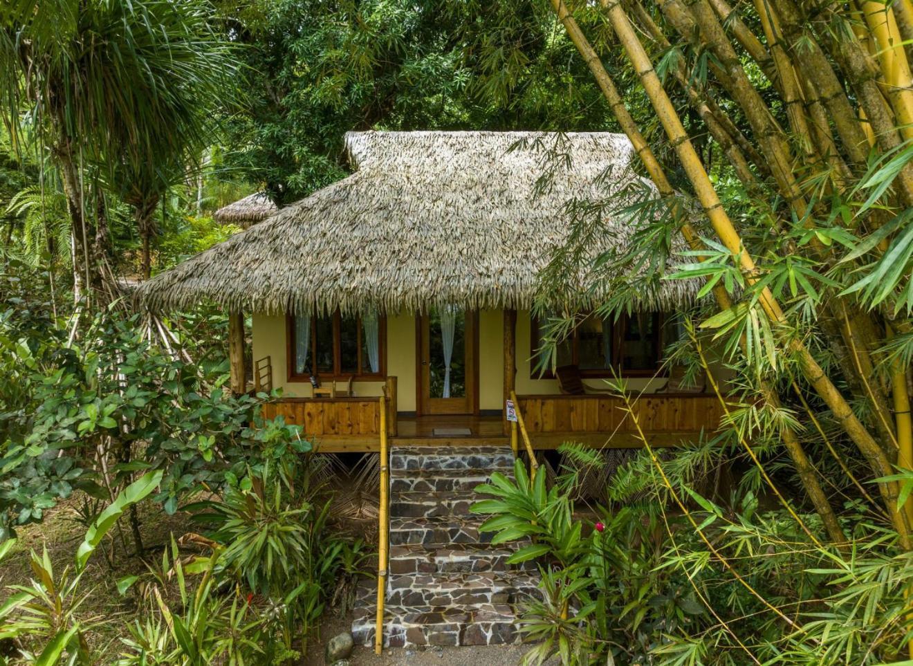 Copa De Arbol Beach&Rainforest Resort Drakes Bay Exterior foto