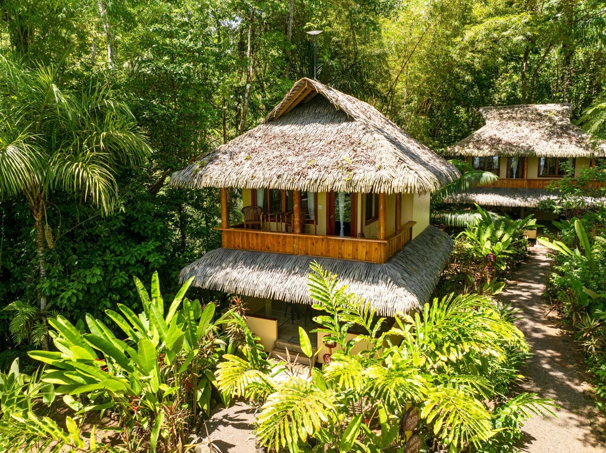 Copa De Arbol Beach&Rainforest Resort Drakes Bay Exterior foto