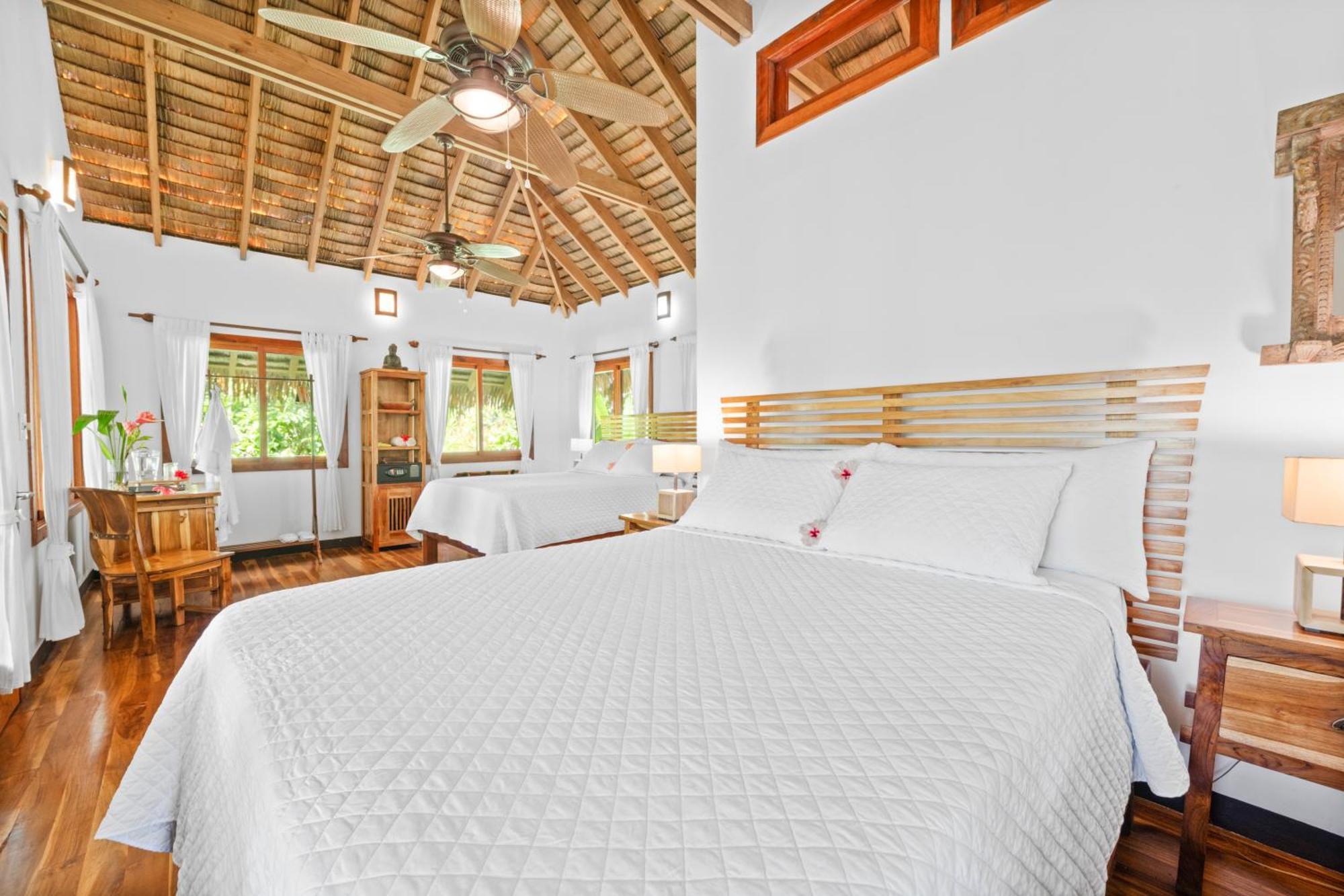 Copa De Arbol Beach&Rainforest Resort Drakes Bay Habitación foto