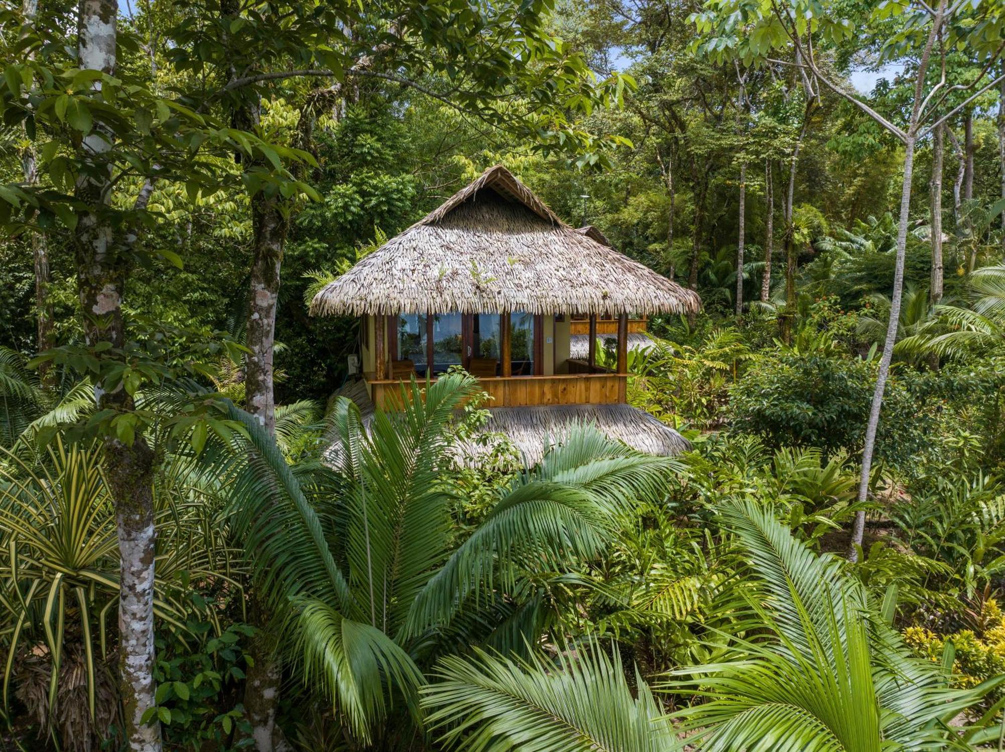 Copa De Arbol Beach&Rainforest Resort Drakes Bay Habitación foto