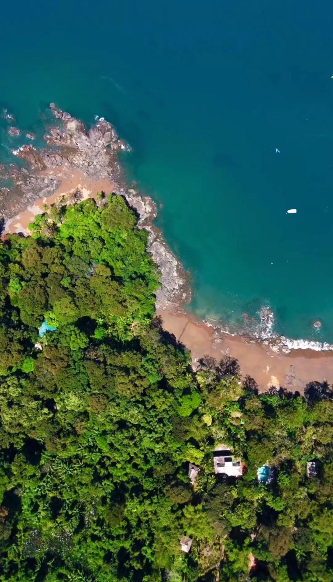 Copa De Arbol Beach&Rainforest Resort Drakes Bay Exterior foto
