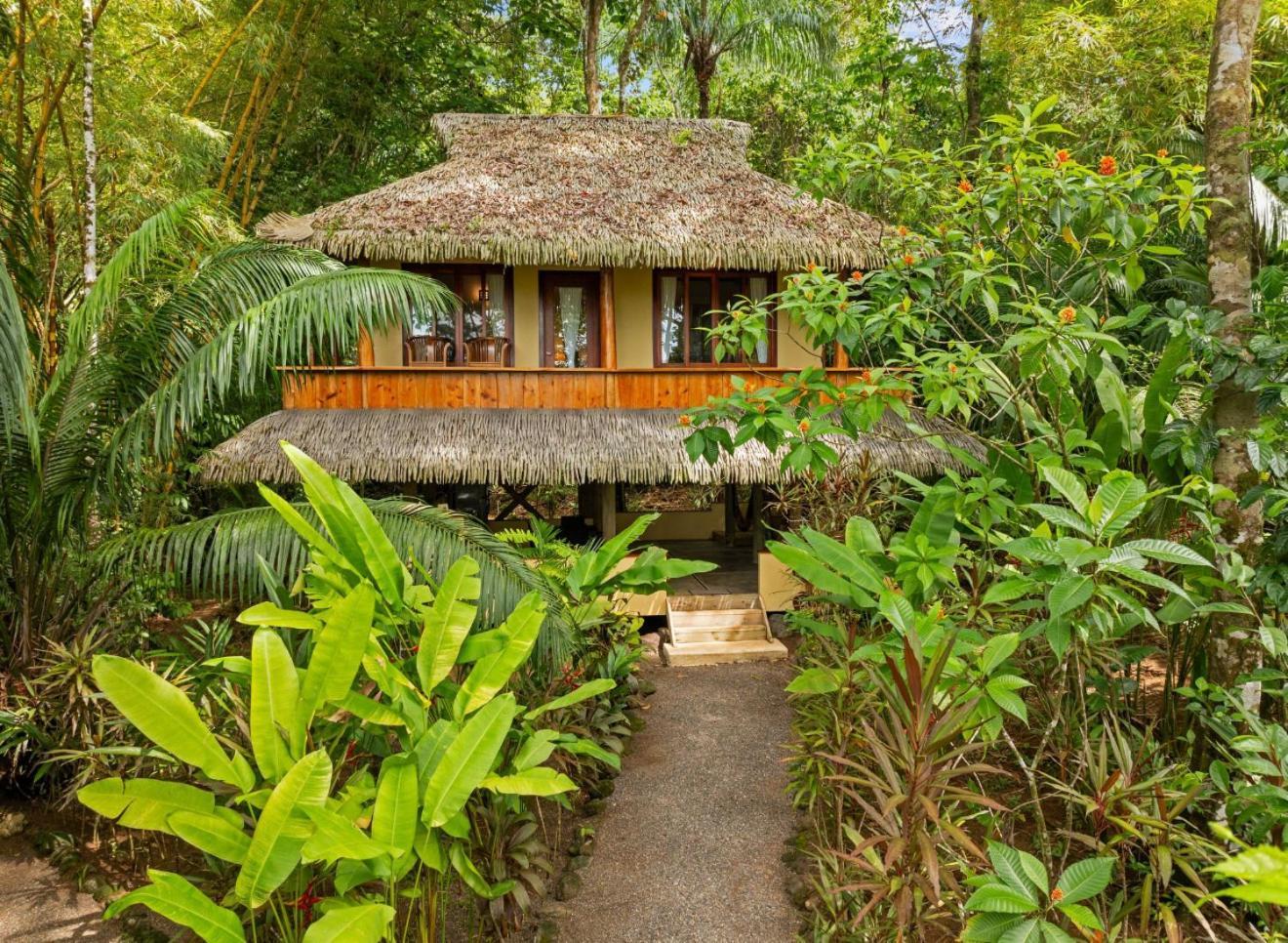 Copa De Arbol Beach&Rainforest Resort Drakes Bay Exterior foto