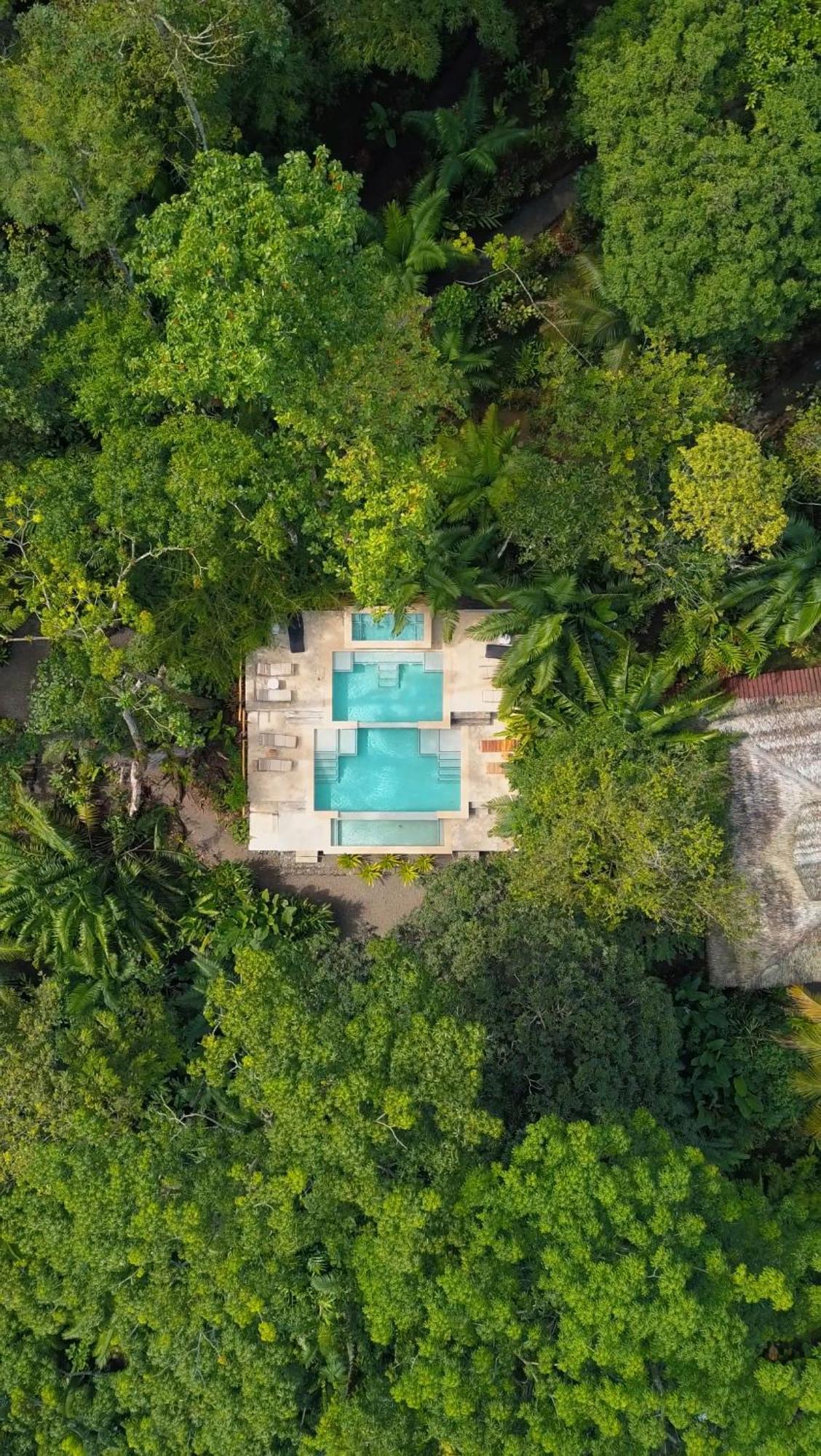 Copa De Arbol Beach&Rainforest Resort Drakes Bay Exterior foto