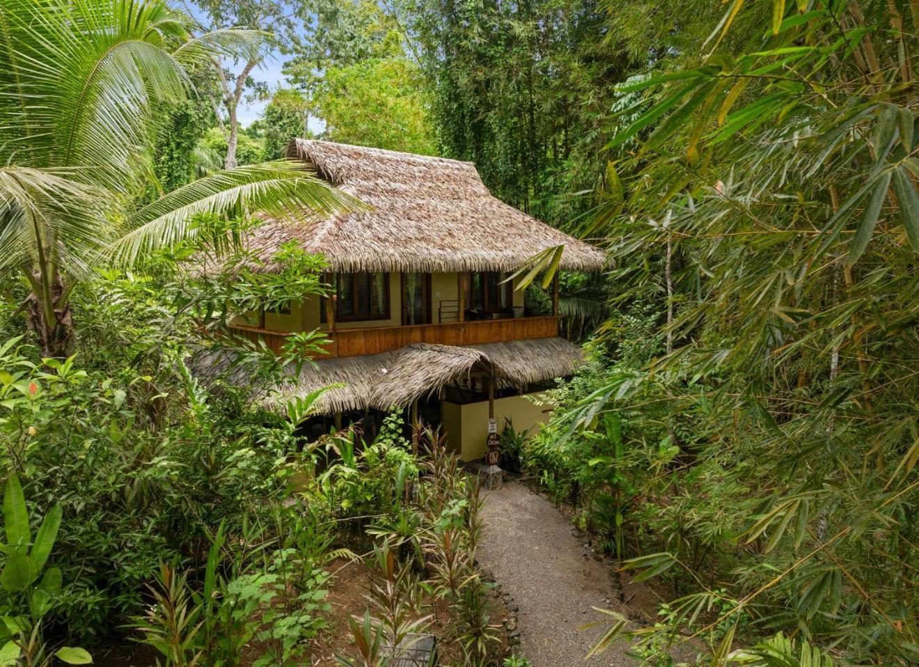 Copa De Arbol Beach&Rainforest Resort Drakes Bay Exterior foto