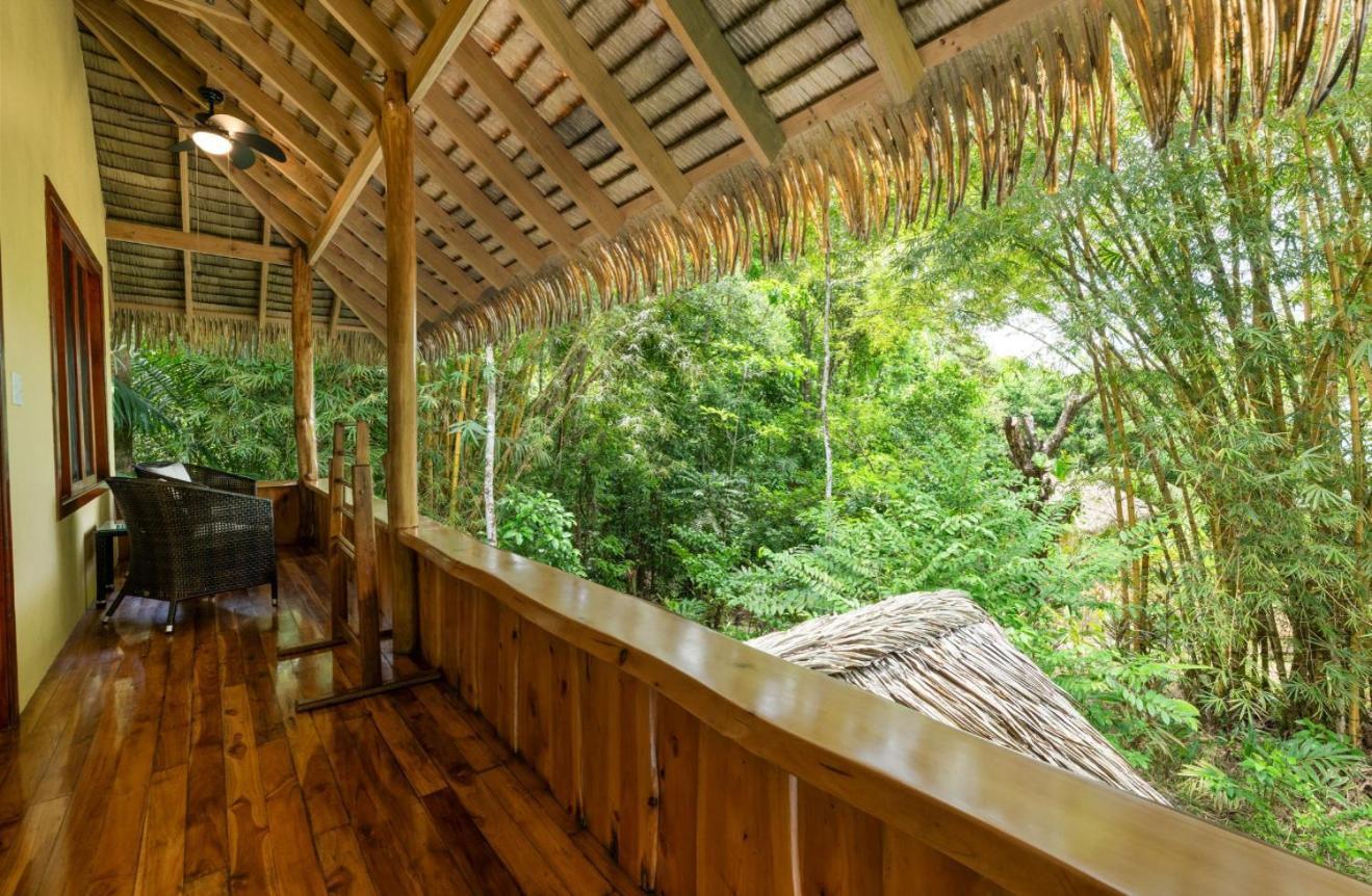 Copa De Arbol Beach&Rainforest Resort Drakes Bay Exterior foto