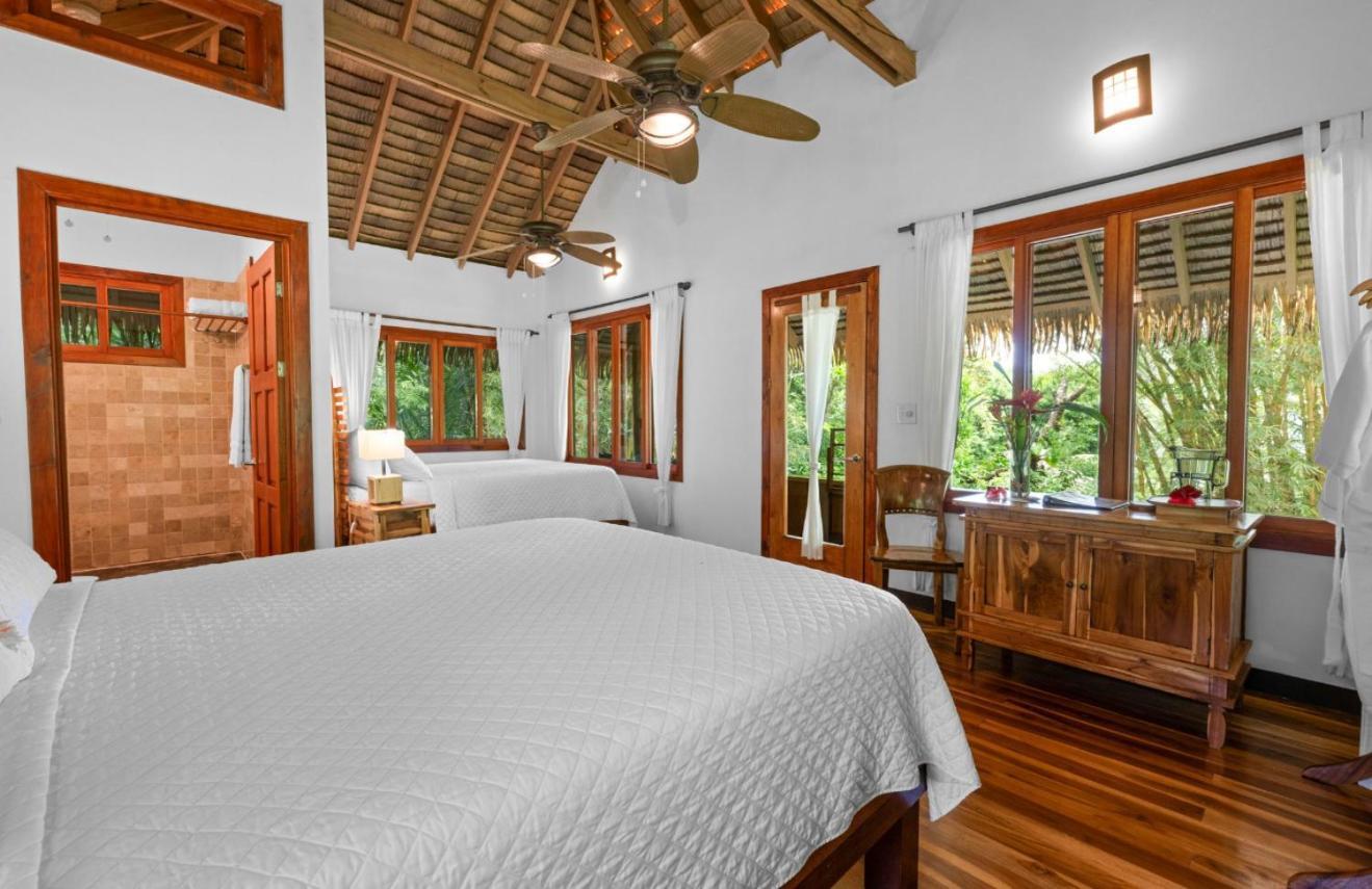Copa De Arbol Beach&Rainforest Resort Drakes Bay Exterior foto