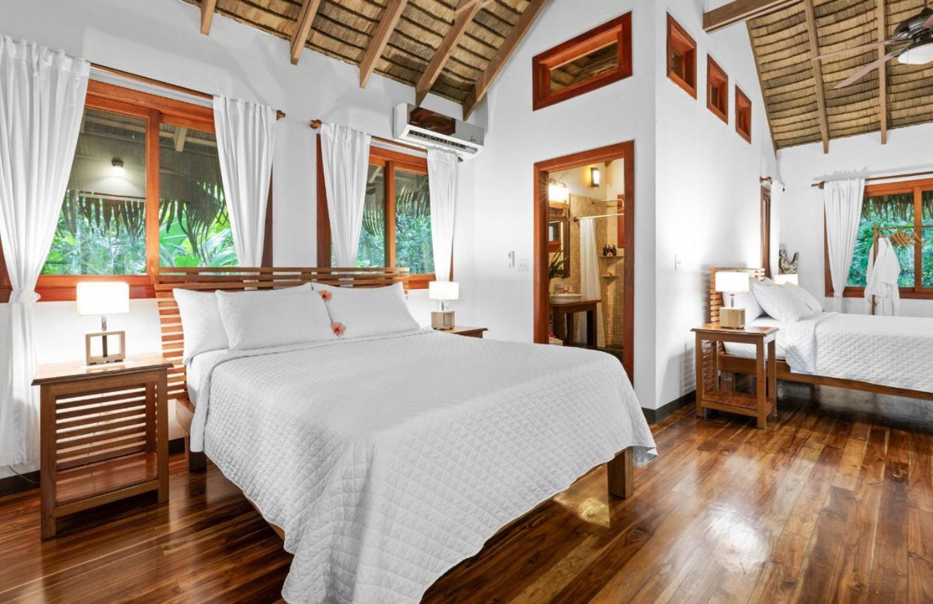 Copa De Arbol Beach&Rainforest Resort Drakes Bay Exterior foto