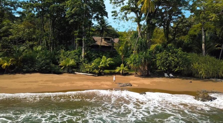 Copa De Arbol Beach&Rainforest Resort Drakes Bay Exterior foto